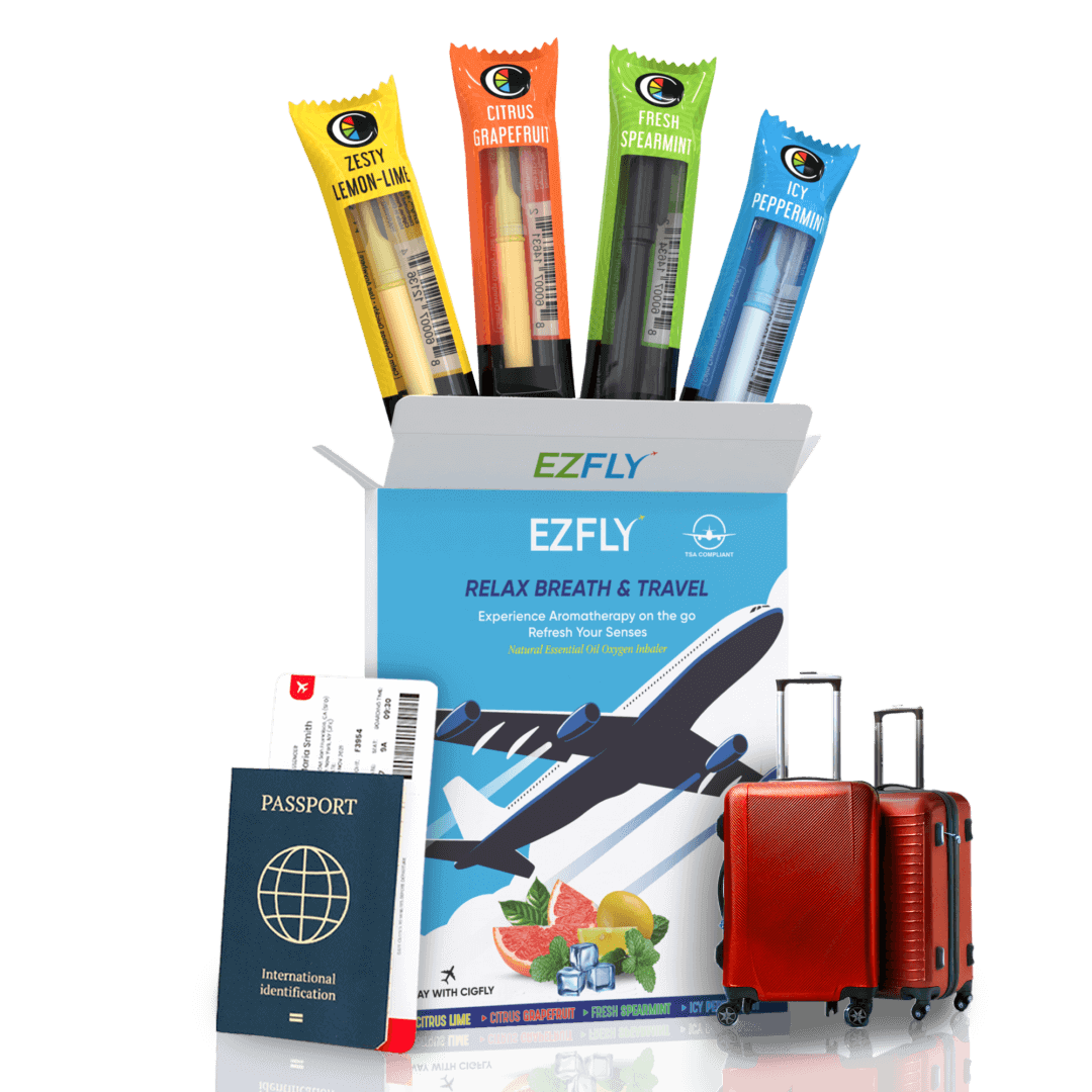 EZFly Your Stress Free Travel Companion