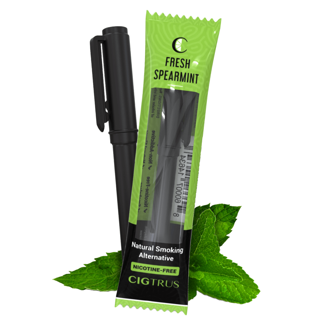 Fresh Spearmint Flavored Air Inhaler Smoke Free Nicotine Free Vaporless Quit Smoking Alternative Your Path to a Smoke Free Life 1 Pack 1 1