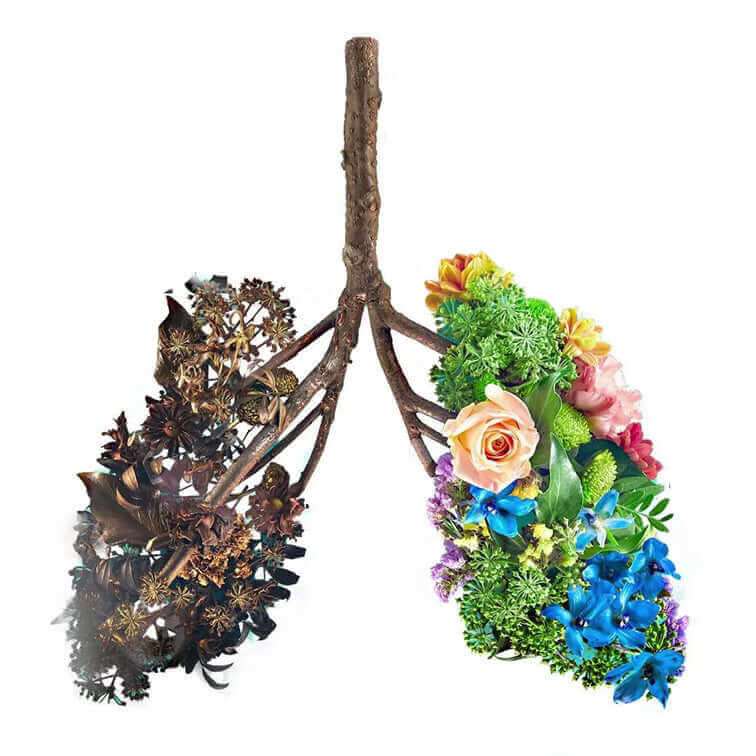 Quit smoking easy way High res lungs flowers 01 1