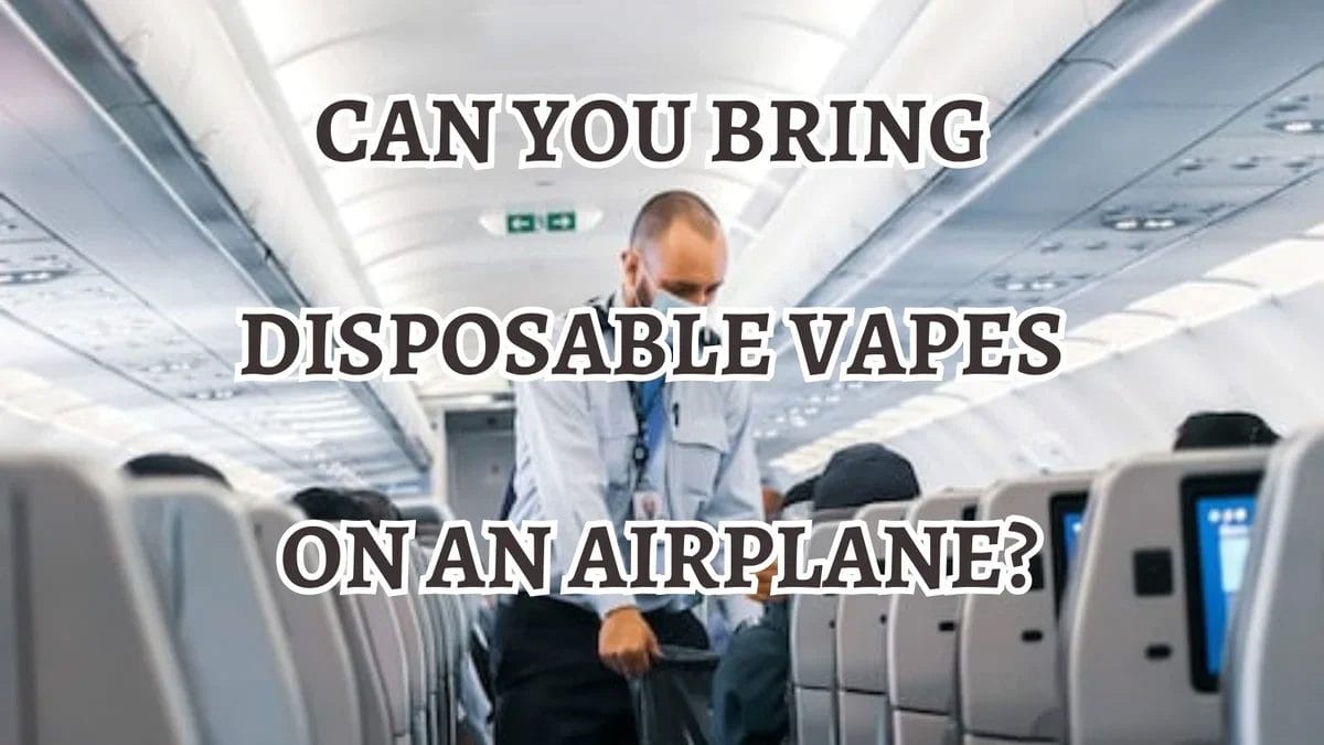 Can You Bring a Vape on a Plane Under 21? Portable, NonElectric, TSA