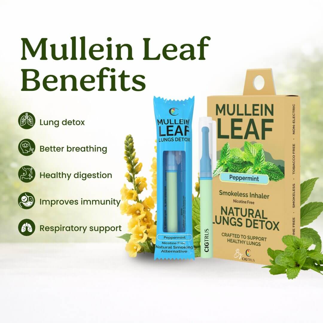 Mullein leaf benefits peppermint inhaler herbal smokeless alternative Cigtrus