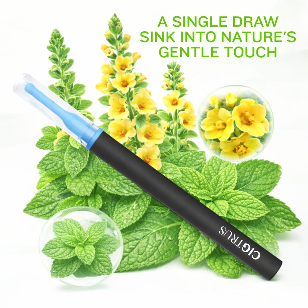 Cigtrus Mullein Leaf single draw image