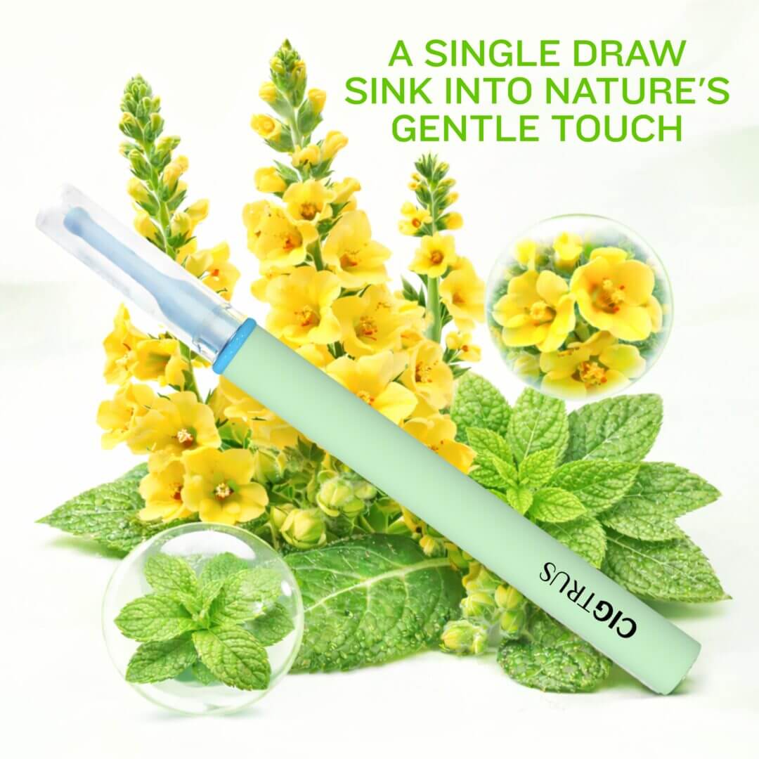 Cigtrus peppermint inhaler mullein leaf and mint herbal smokeless inhaler natural alternative